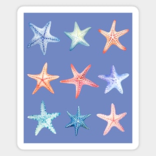 Starfish Beach Lover's Design Magnet